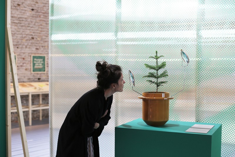 <em>plant-fever-towards-a-phyto-centred-design</em>exhibition-by-studio-d-o-t-s-x-cid-au-grand-hornu_photo-olly-cruise-2