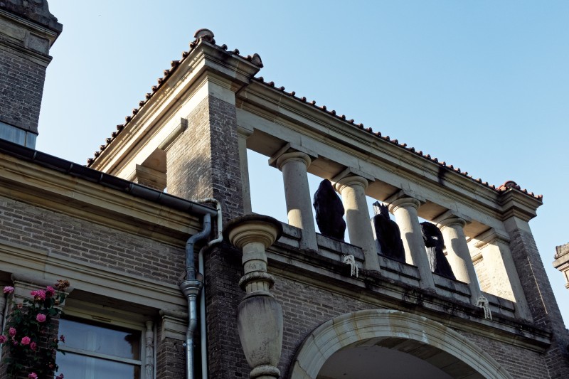 Noé Bendelac<strong><em> © </em></strong>Judith Cattan, 2025