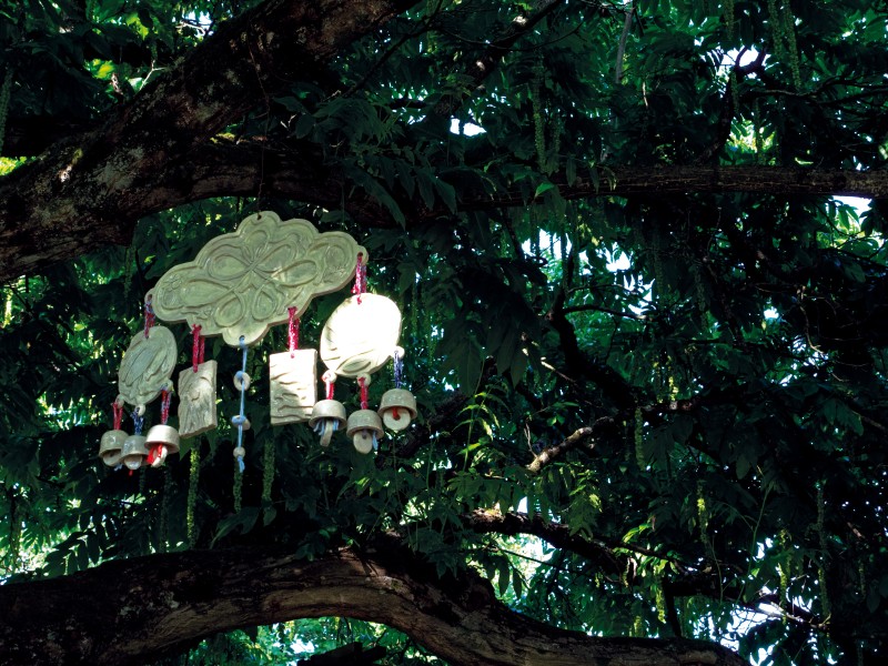 Gabriela Morgado<strong><em> © </em></strong>Judith Cattan, 2025