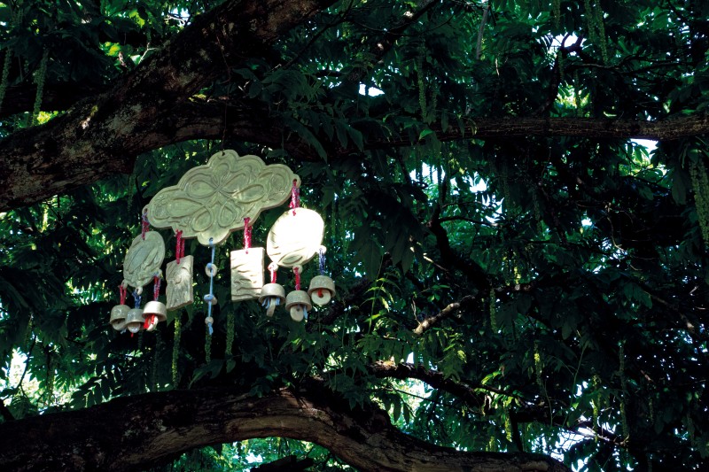 Gabriela Morgado<strong><em> © </em></strong>Judith Cattan, 2025